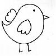 BIRDIE13
