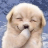 Doggynub