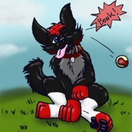 TheDarkWolf