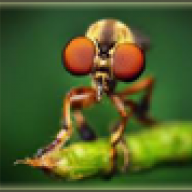 InvyX