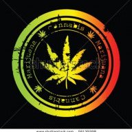 Thc Wengosz