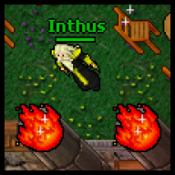 Inthus