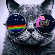 Veternarmy