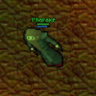 Pharaxe01