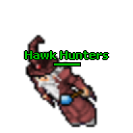 Hawk Hunters