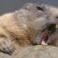 EagerBeaver