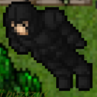 Frajerska