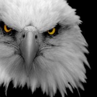 HawkSPRITER