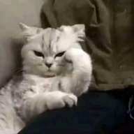 Sa3dana