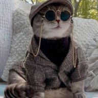 Mr Aziz