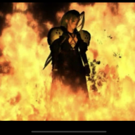 Borgaroth