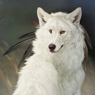Night Wolf
