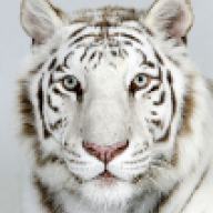 Nilan