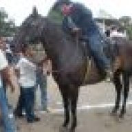 Cotizado