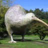 Kiwi Dan