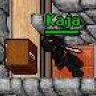 Kaja aka Addon