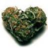 weedman420