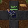 Toor