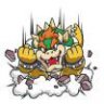 Bowser