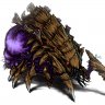 Brofestor