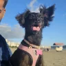 lucasbt