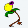 Wuri
