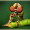 InvyX