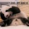 Bogarts Panda