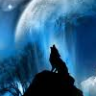 Shadow Wolf