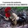 CoisaTheBruto