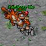 Kio Druid