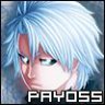 Payoss