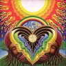 transcendmental
