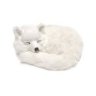 ArticFox