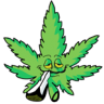 Skuniasz