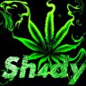 Sh4dy