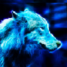 Bluewolf