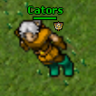Cators