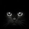 Fajrant1