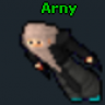 Arny
