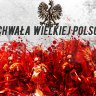 Polish Hussar