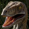 velocitraptor