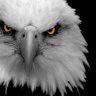 HawkSPRITER