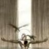 Kite