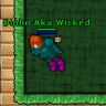 dinhoakawicked