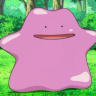 ditto