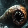 DillyLingus