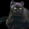 SaLeM