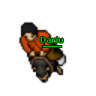 dariumartins