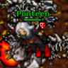 Ponteen